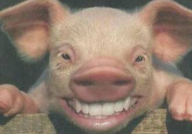 小姐姐笑成猪视频素材,小姐姐视频素材引发爆笑热潮