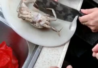 小姐姐螃蟹夹手,小姐姐的惊险瞬间